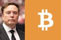 X被曝接入比特币购买功能，用户可在应用内买BTC